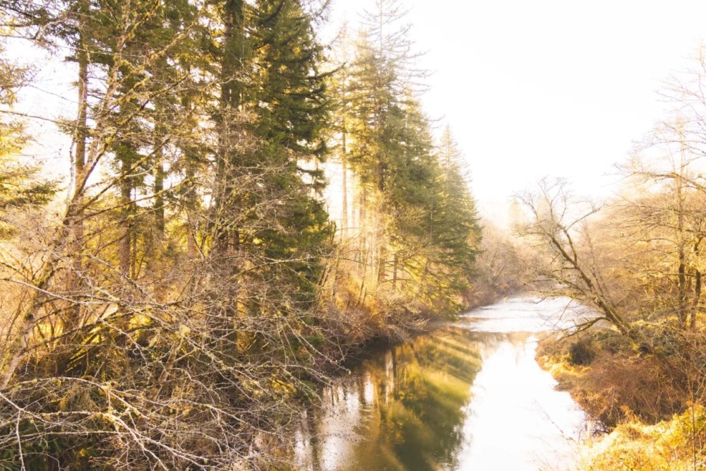 Trapp Creek featured image