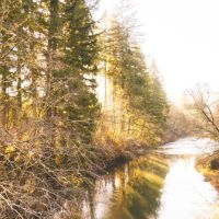 Trapp Creek
