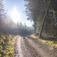 Trapp Creek images 2