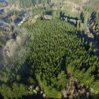 Trapp Creek images 3