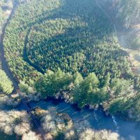 Trapp Creek images 5