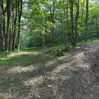 24 acres Hunting Land and Recreational Land with Building Lot in Clarksville NY Wolf Creek Rd