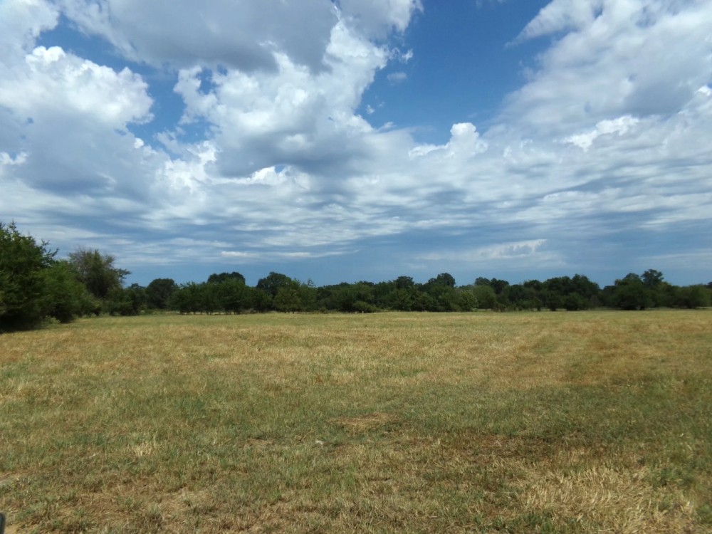 Ranch Land For Sale 231 Acres in Blossom TX NE TX featured image