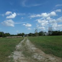 Ranch Land For Sale 231 Acres in Blossom TX NE TX images 2