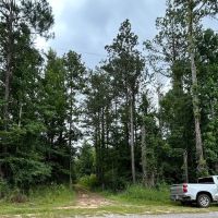 21-013-loree-tract images 4
