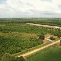 160 Acres with a Home in Sunflower County at 374 Fox Road in Shaw MS images 4