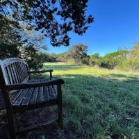 Settlement Branch Ranch 111 Acres Coryell County images 4