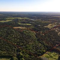 Settlement Branch Ranch 111 Acres Coryell County images 5