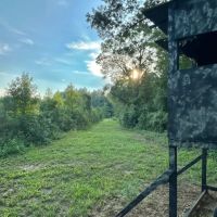 75 Acres in Treulten County Georgia