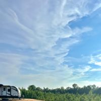 75 Acres in Treulten County Georgia images 3