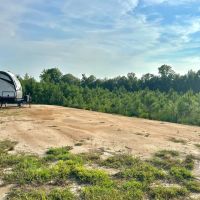 75 Acres in Treulten County Georgia images 4
