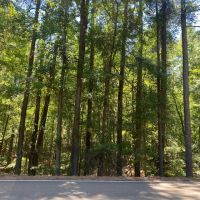 MS - Montgomery 66 acres - images 1