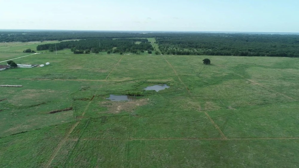 Homesite acreage with pond and Seller Financing Tract 6 Kerens area featured image