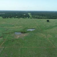 Homesite acreage with pond and Seller Financing Tract 6 Kerens area