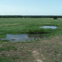 Homesite acreage with pond and Seller Financing Tract 6 Kerens area images 4