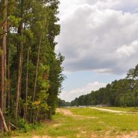 80 acres Tommy Smith Road images 3