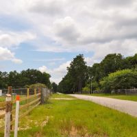 80 acres Tommy Smith Road images 4