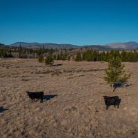 Lewis and Clark Trail Ranch images 3