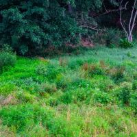 Dutch Creek images 1