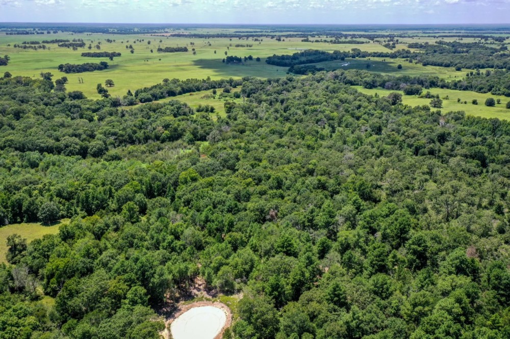 10 Acres Lone Star Ridge Lovelady TX 75851 featured image