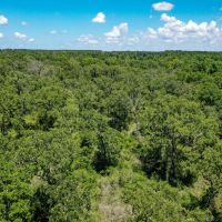 10 Acres Lone Star Ridge Lovelady TX 75851 images 4