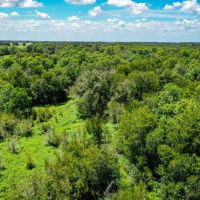 10 Acres Lone Star Ridge Lovelady TX 75851 images 5