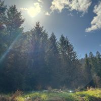 South Fork images 2