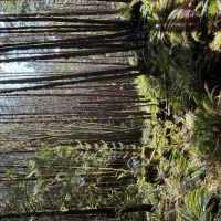 South Fork images 5