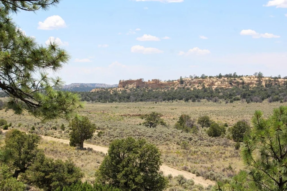San Isidro Mesa Ranch - 297 ac. featured image