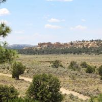 San Isidro Mesa Ranch - 297 ac.