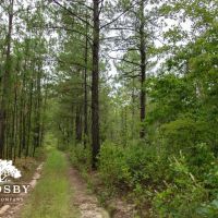 Scotch Road images 4