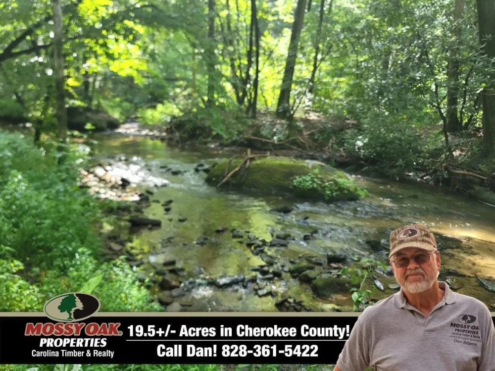 19.5 - Acres Creek Front Unrestricted featured image