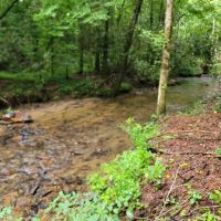 19.5 - Acres Creek Front Unrestricted images 2