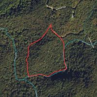 19.5 - Acres Creek Front Unrestricted images 3