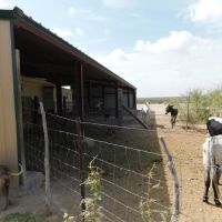 Off-Grid Ranch Meyers Canyon Ranch Subdivision Terrell County Dryden Texas images 3