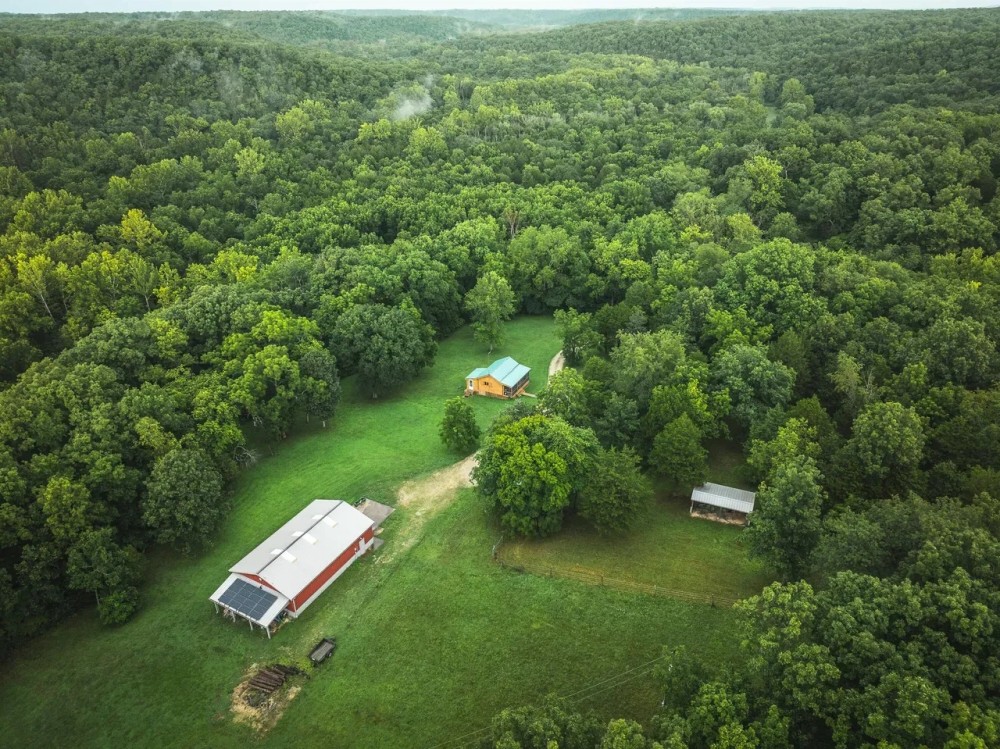 The Little Piney featured image