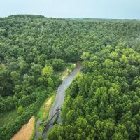 The Little Piney images 2