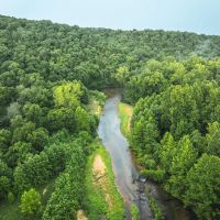 The Little Piney images 5