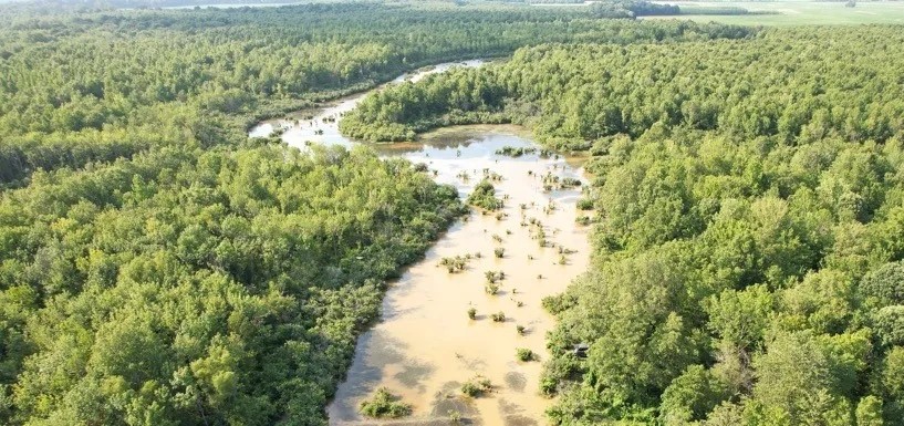 463 Acres in Quitman County in Lambert MS featured image