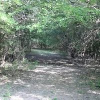 463 Acres in Quitman County in Lambert MS images 4
