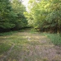 463 Acres in Quitman County in Lambert MS images 5