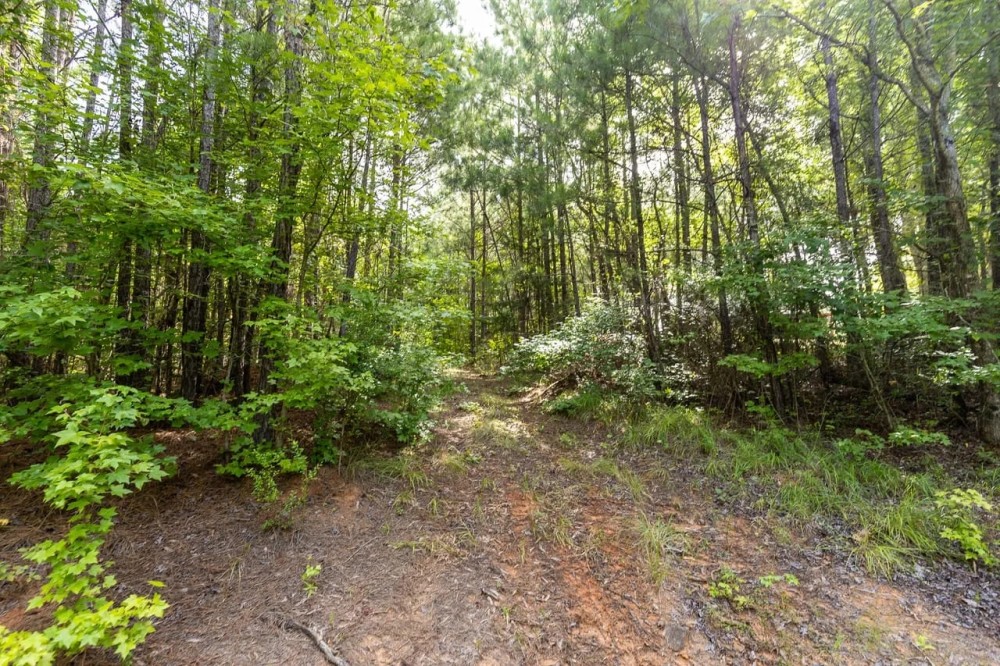 103 Acres in Perry County featured image