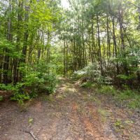 103 Acres in Perry County