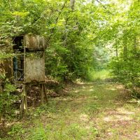 103 Acres in Perry County images 2