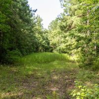 103 Acres in Perry County images 3