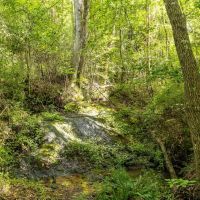 103 Acres in Perry County images 4