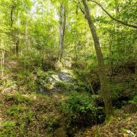 103 Acres in Perry County images 5