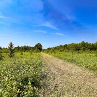 105.2 Acres of Hunting Recreational Residential Land For Sale in Mecklenburg County VA images 3