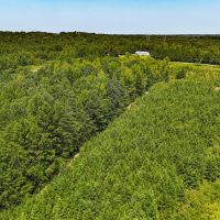 105.2 Acres of Hunting Recreational Residential Land For Sale in Mecklenburg County VA images 5