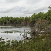 Buck Hill WMA 2,049 Acres of Public Land for Hunting Turkey - Providence, RI